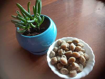 Jaggery Beads (200 grams)